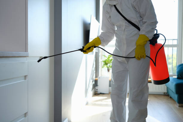 Mold Testing and Removal in Independence, IA