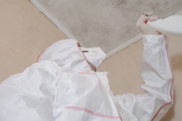 Best Certified Mold Removal  in Independence, IA